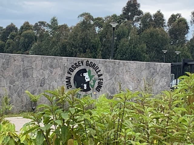 ellen degeneres campus of the dian fossey gorilla fund 5
